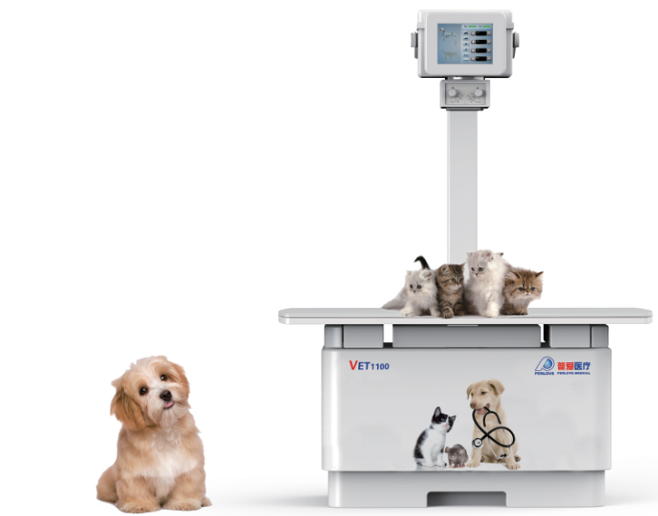 購買獸用DR需要關注哪些參數？先看這2點