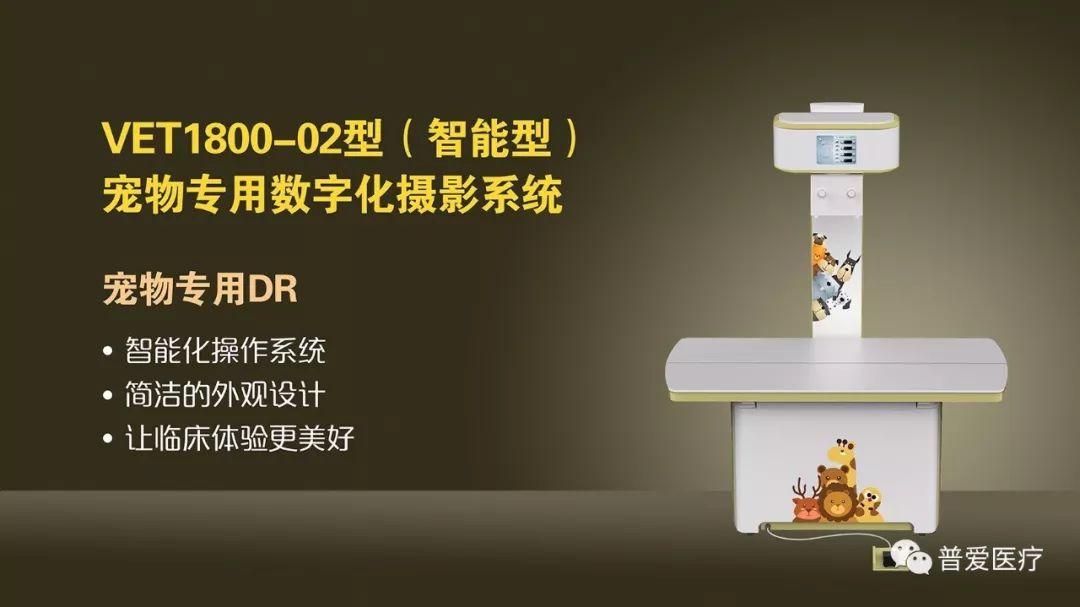 以仁醫之心關愛寵物健康 以仁醫之心關愛寵物健康